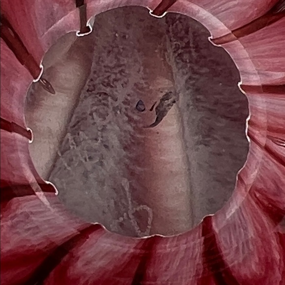 Signed Heart-Shaped Murano-Style Art Glass Paperweight Red and Pink Flower 6” - Picture 4 of 7